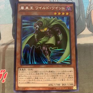 風来王 ワイルド・ワインド SE