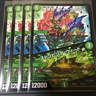 ナトゥーラトプス