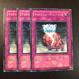 キャトルミューティレーション N