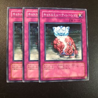 キャトルミューティレーション N