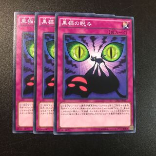 黒猫の睨み N