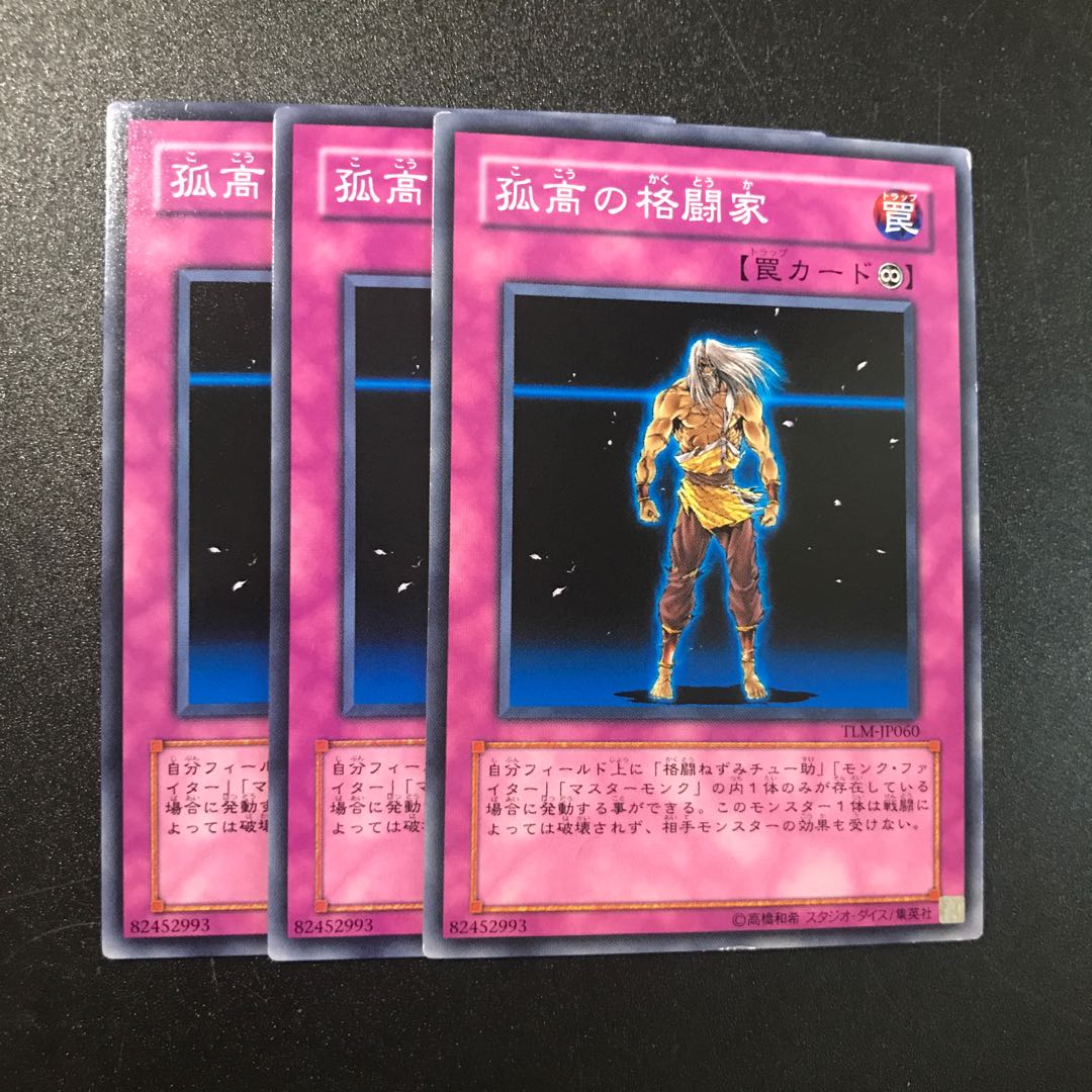 孤高の格闘家 N