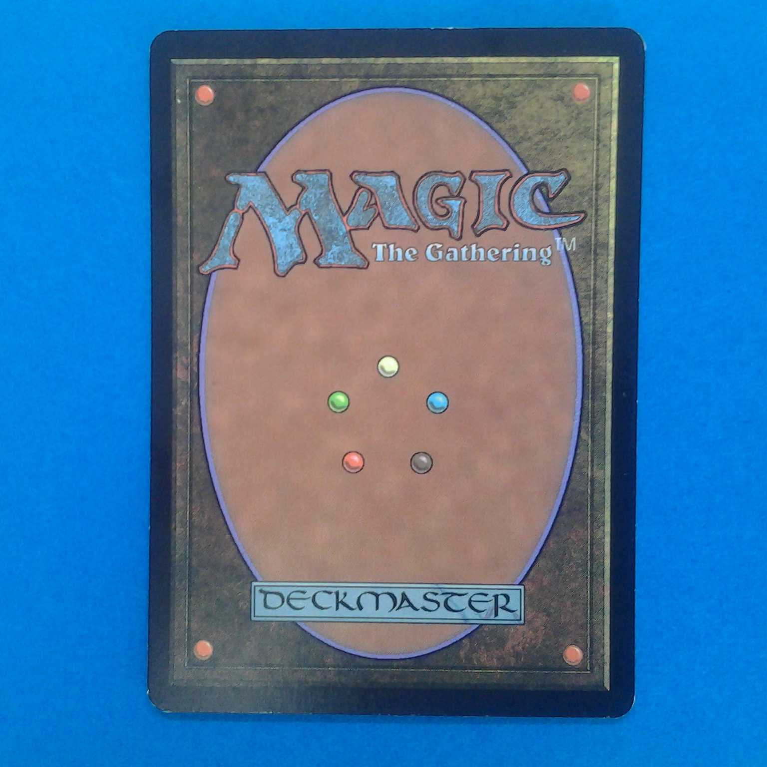 MTG Grassland Crusader Trekker Case with Photo Stand