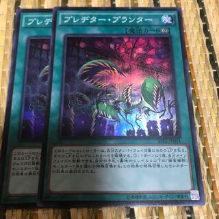 マドレース プレデター・プランター SR