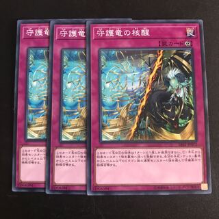 守護竜の核醒 N