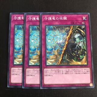 守護竜の核醒 N