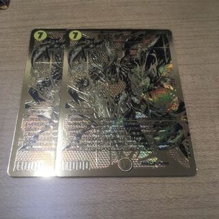 煌龍 サッヴァーク2枚