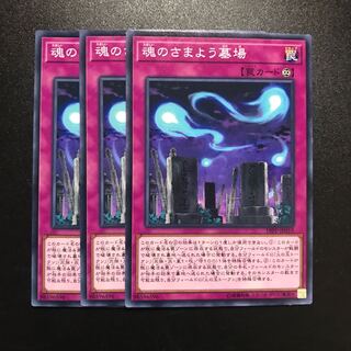 魂のさまよう墓場 N