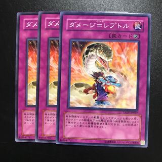 ダメージ=レプトル N