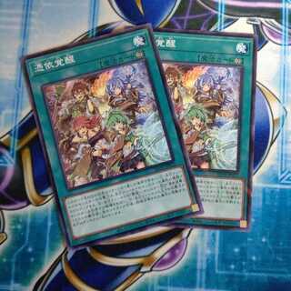 憑依覚醒 ノーマルパラレル ２枚セット