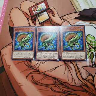 捕食植物スピノ・ディオネア N