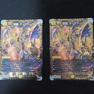 煌龍 サッヴァーク2枚セット