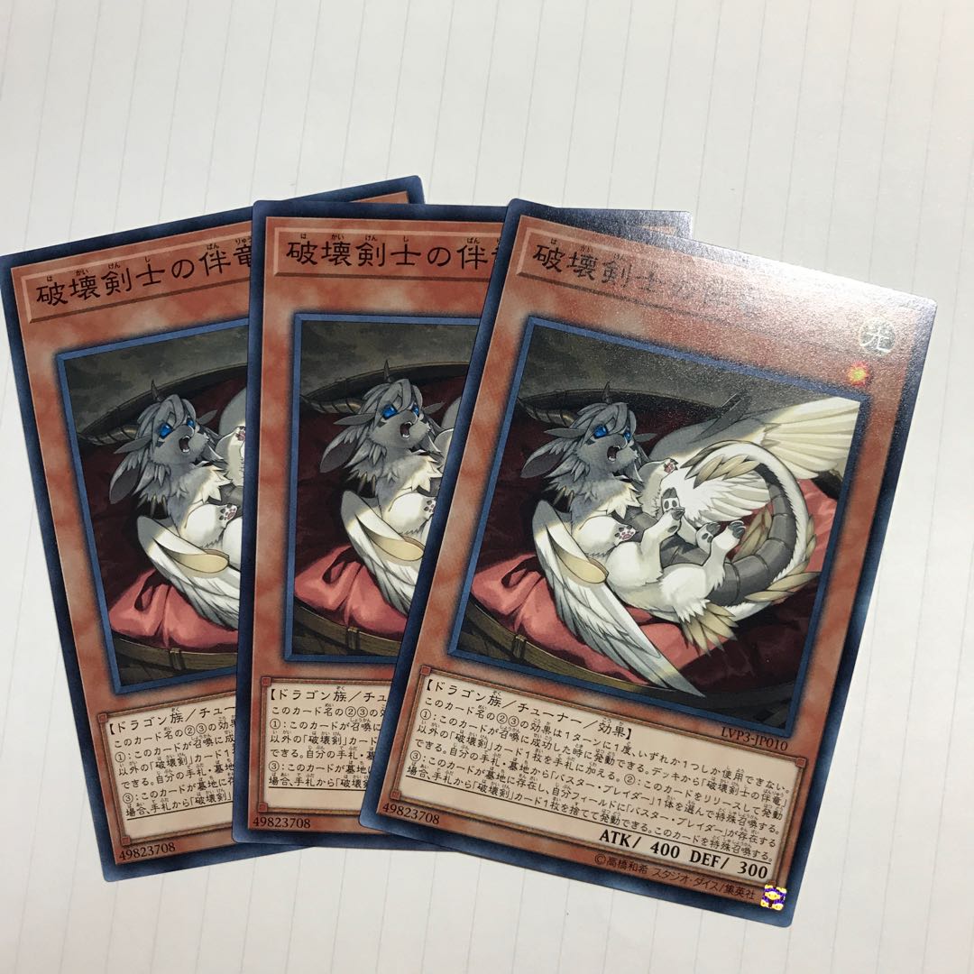 破壊剣士の伴竜