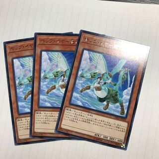 ホップ・イヤー飛行隊