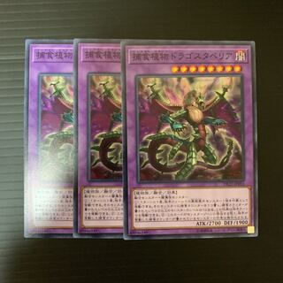 遊戯王 捕食植物ドラゴスタペリア 3枚セット