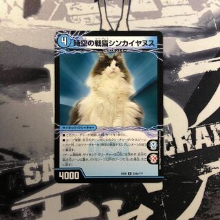 時空の戦猫シンカイヤヌス｜時空の戦猫ヤヌスグレンオー　写真立て305