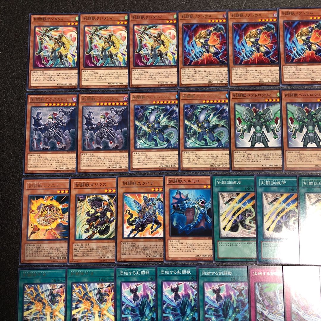 遊戯王 No.199 剣闘獣 デッキ40枚+15枚 ドラガシス ドミティアノス