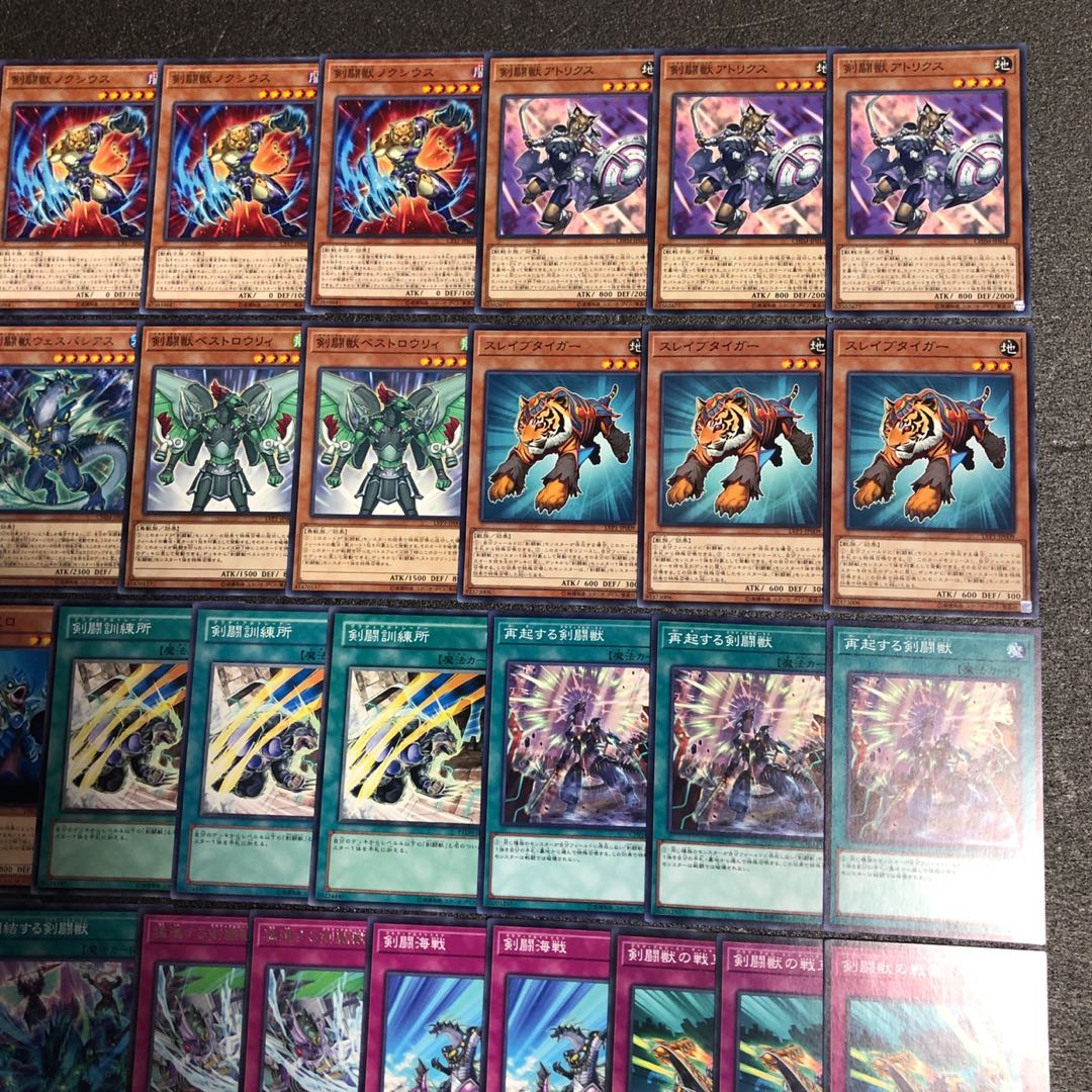 遊戯王 No.199 剣闘獣 デッキ40枚+15枚 ドラガシス ドミティアノス