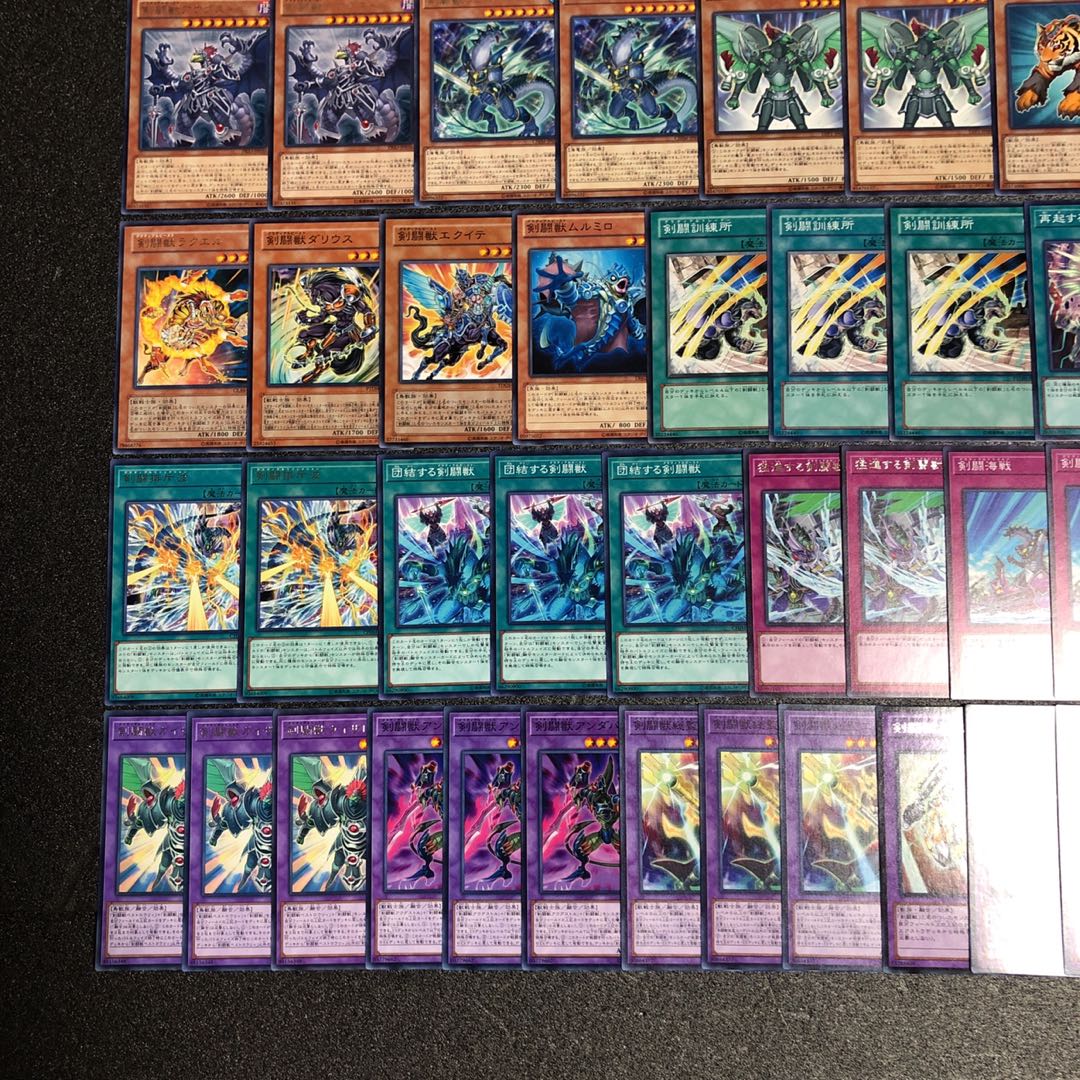 遊戯王 No.199 剣闘獣 デッキ40枚+15枚 ドラガシス ドミティアノス