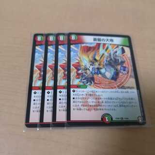 蒼龍の大地 4枚