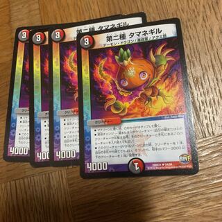 第二種 タマネギル