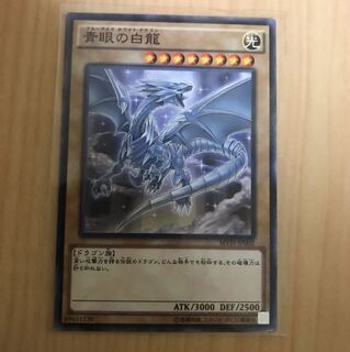 青眼の白龍