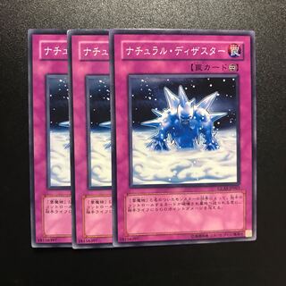 ナチュラル・ディザスター N