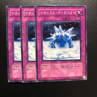 ナチュラル・ディザスター N