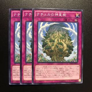 ナチュルの神星樹 N