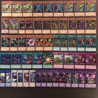 遊戯王 No.201 捕食植物 デッキ40枚＋15枚 ヴェノム プレデター
