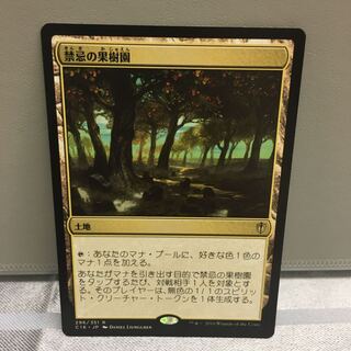 禁忌の果樹園」の激安通販 | magi