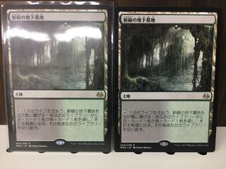 新緑の地下墓地　2枚セット