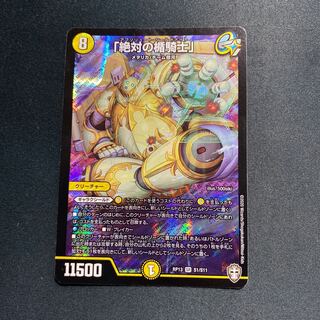 「絶対の楯騎士」