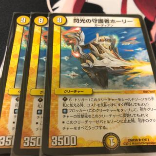 閃光の守護者ホーリー