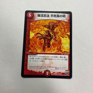 爆流忍法 不死鳥の術