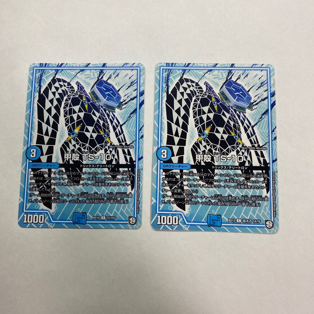 甲殻 TS-10 2枚