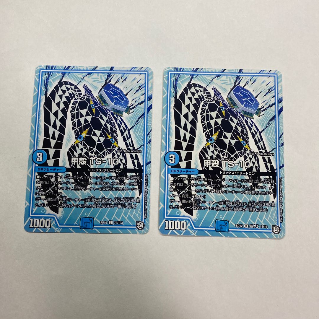 甲殻 TS-10 2枚