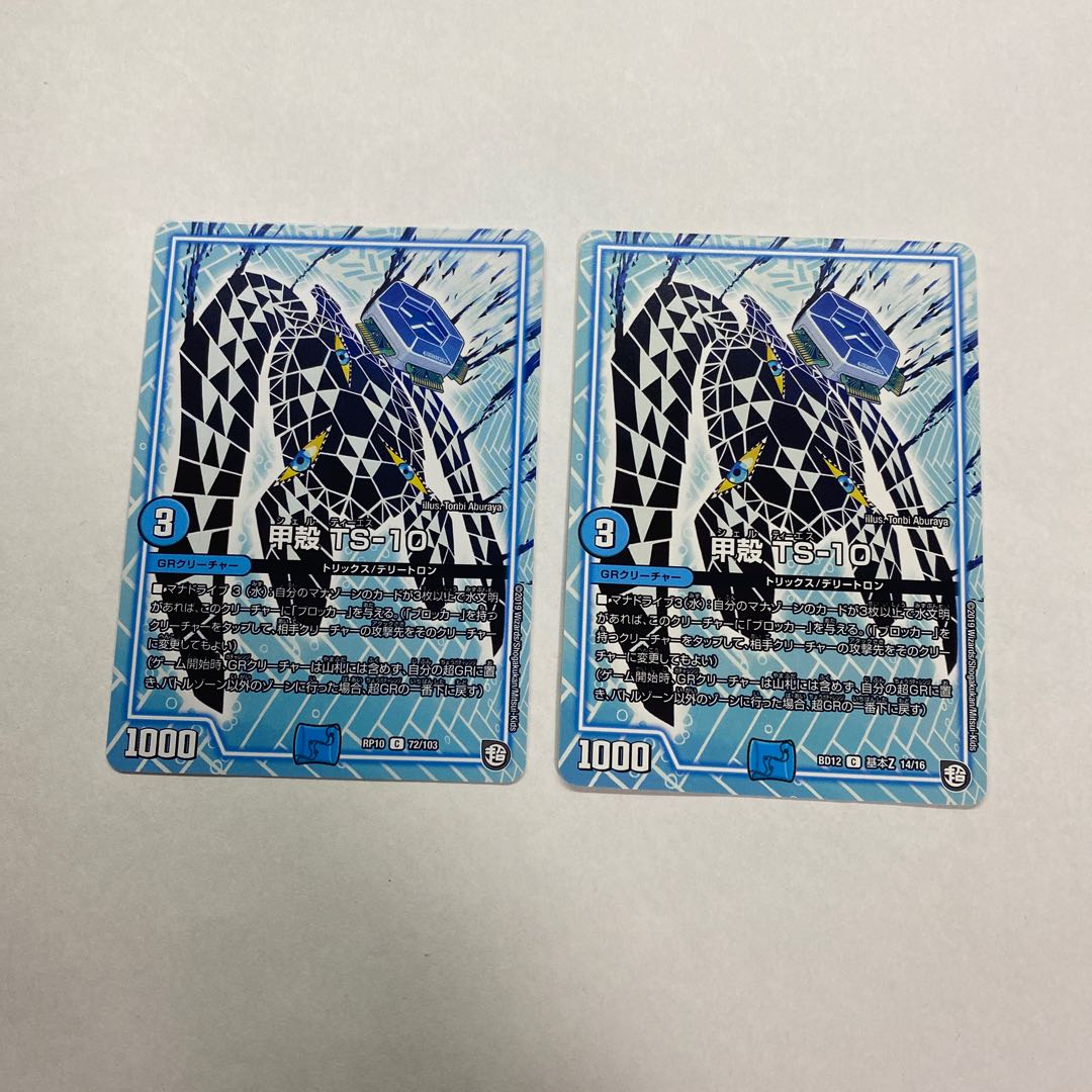 甲殻 TS-10 2枚