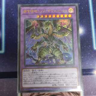 捕食植物トリフィオヴェルトゥム