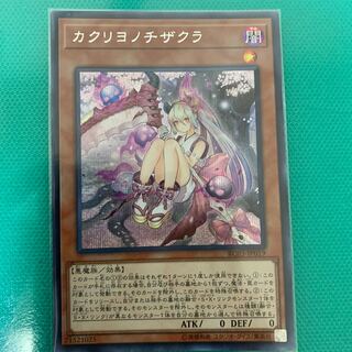 カクリヨノチザクラ SE