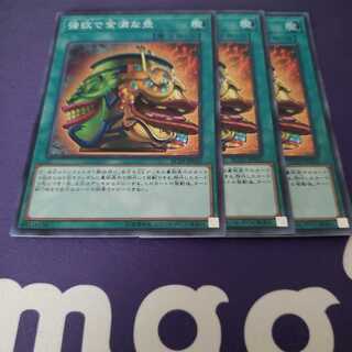 強欲で金満な壺 SR