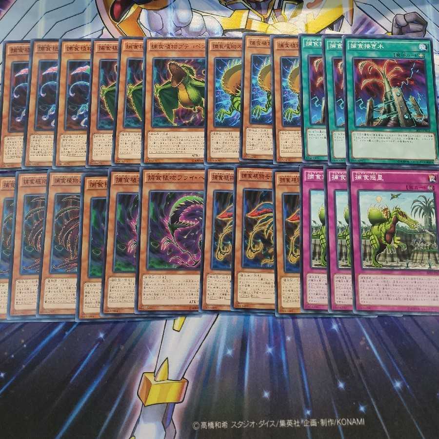 捕食植物デッキパーツ