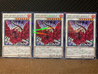 【ぽぽたん】遊戯王 10013 ブラック・ローズ・ドラゴン 3枚 ノーパラ
