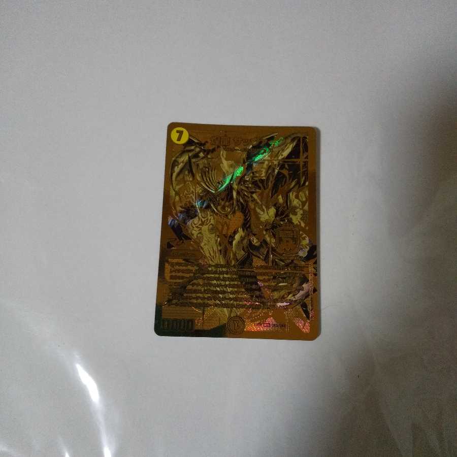 煌龍 サッヴァーク