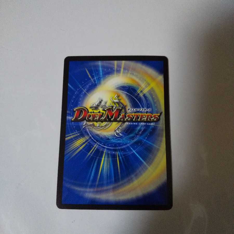 煌龍 サッヴァーク