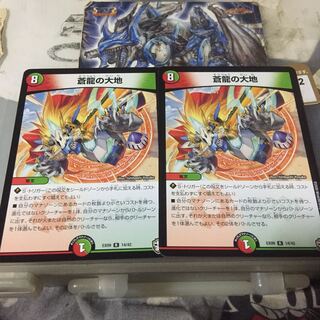 蒼龍の大地 2枚セット