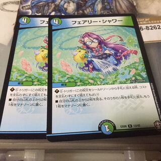 フェアリー・シャワー 2枚セット