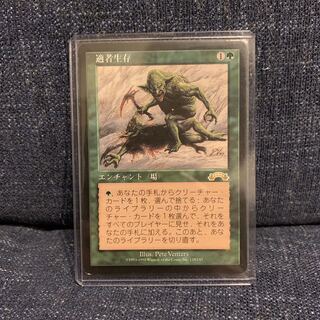 MTG 適者生存/Survival of the Fittest 日本語