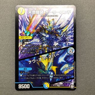 天命龍装 ホーリーエンド/ナウ・オア・ネバー