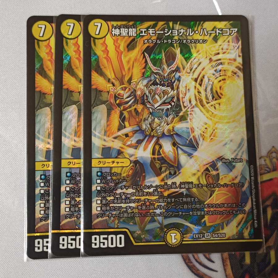 神聖龍 エモーショナル・ハードコア